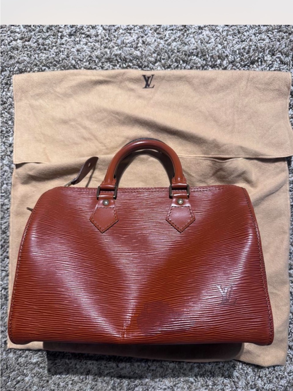Louis Vuitton Brown Epi Leather Alma Handbag